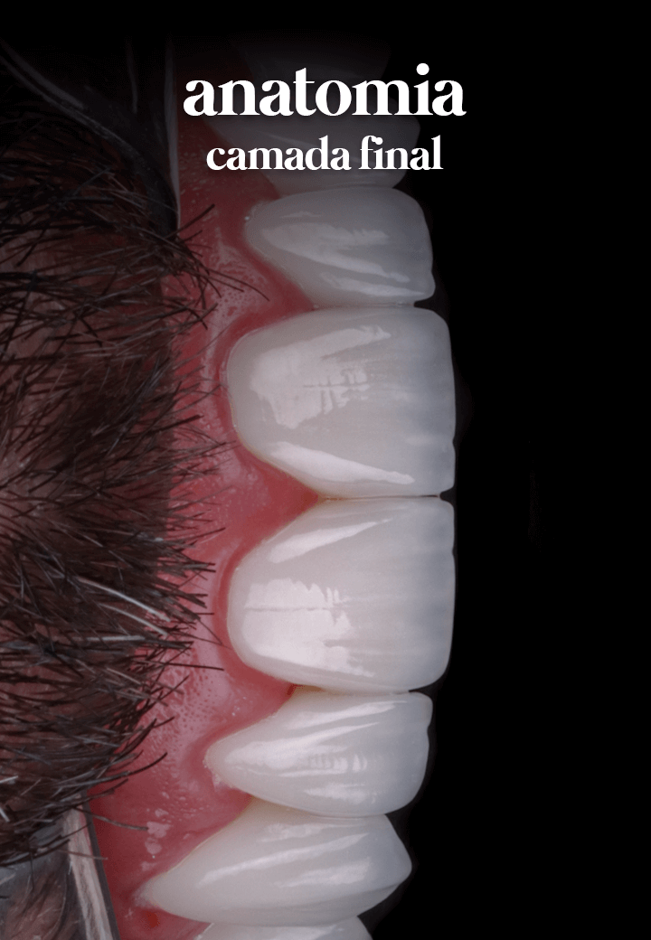 Anatomia-Dental.png